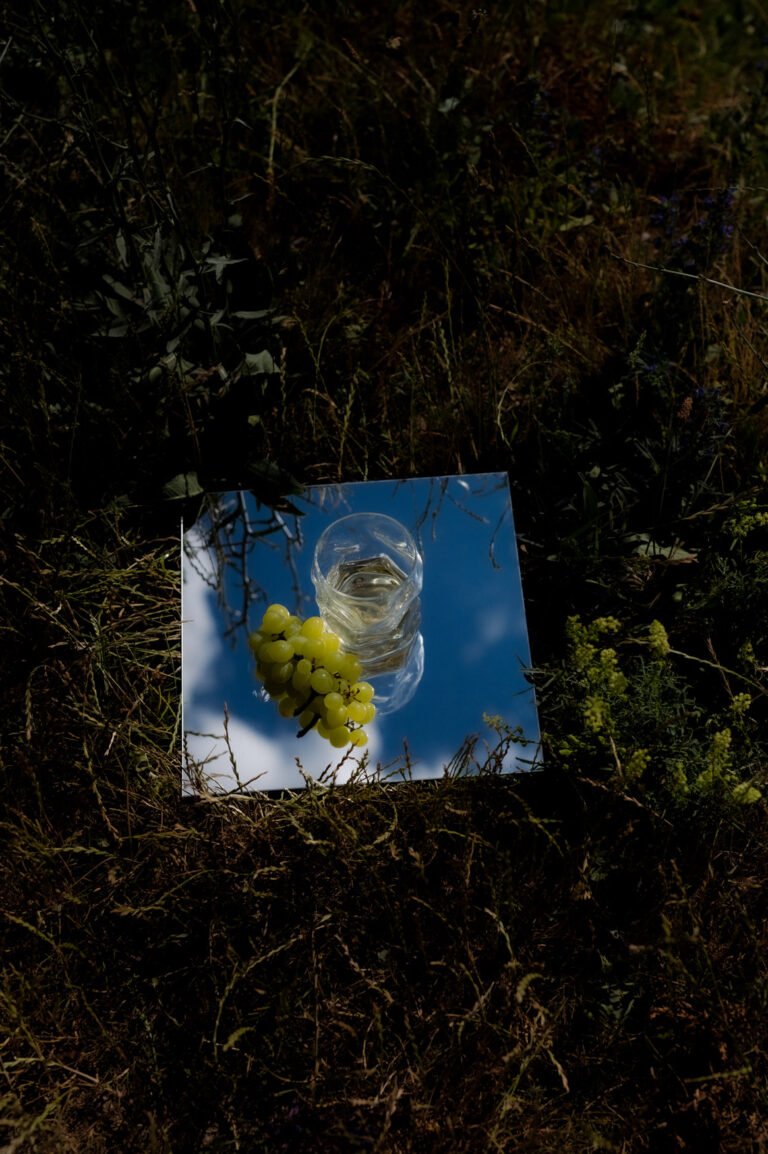 Spiegel mit Himmel und Trauben im dunklen Gras