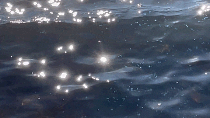 Sonnenlicht glitzert auf Wasser