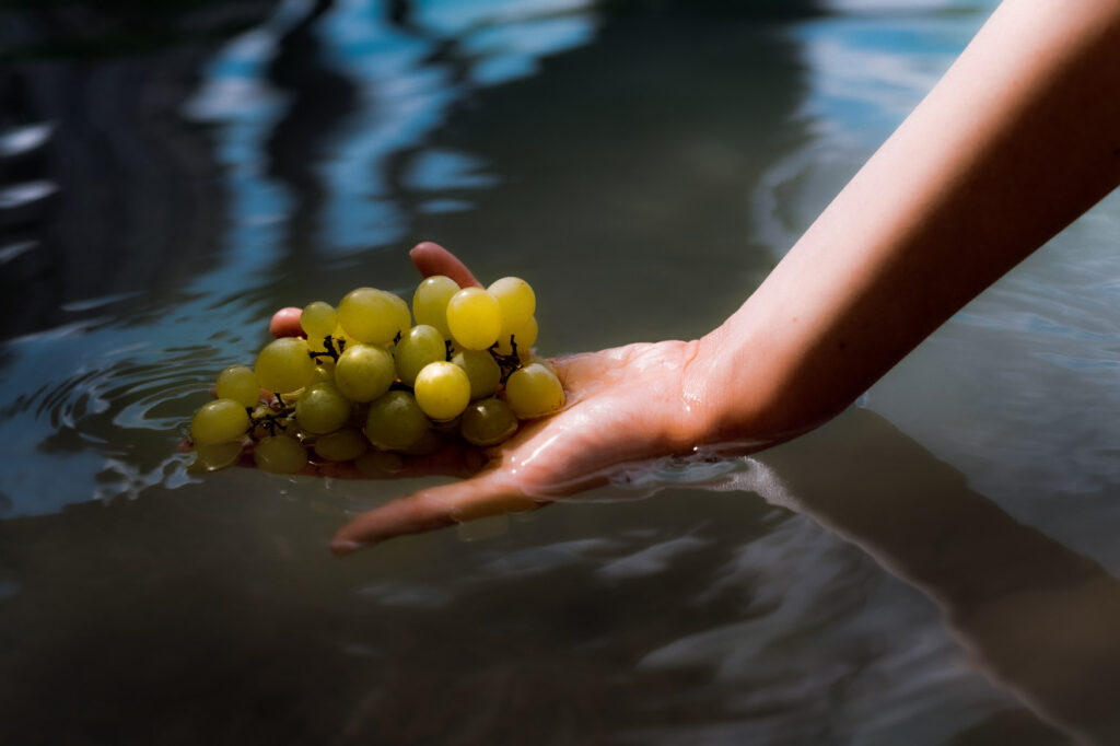 Hand mit einer Handvoll weißer Trauben im Wasser